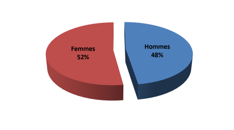 Ressources Humaines en Activité au Ministère de la Transition Numérique et de la Réforme de l’Administration par Genre