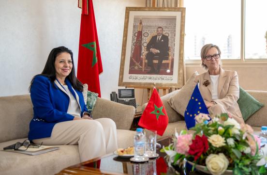 Reception de Madame l'Ambassadrice de l'Union Européenne par Madame la Ministre